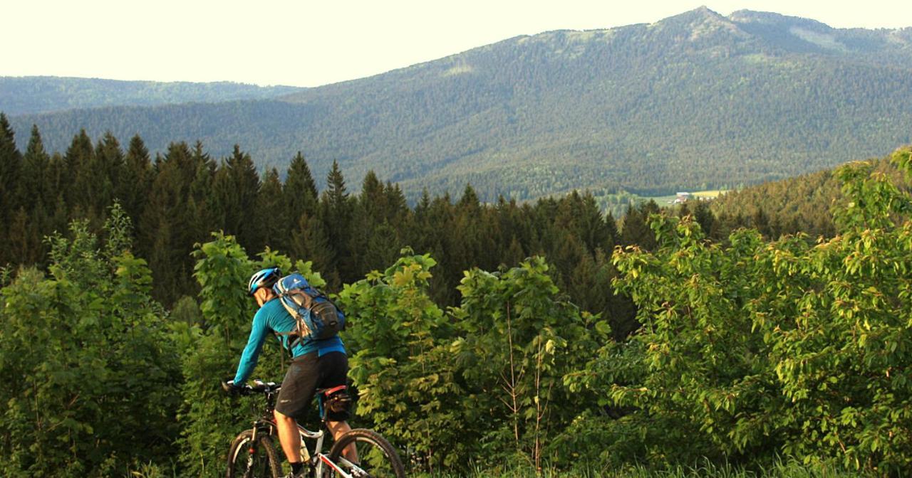 Garnihotel Zur Linde - Bayerischer Wald - Aktivcard Mit 154 Kostenfreien Leistungen - Kostenloser Parkplatz Lohberg Bagian luar foto