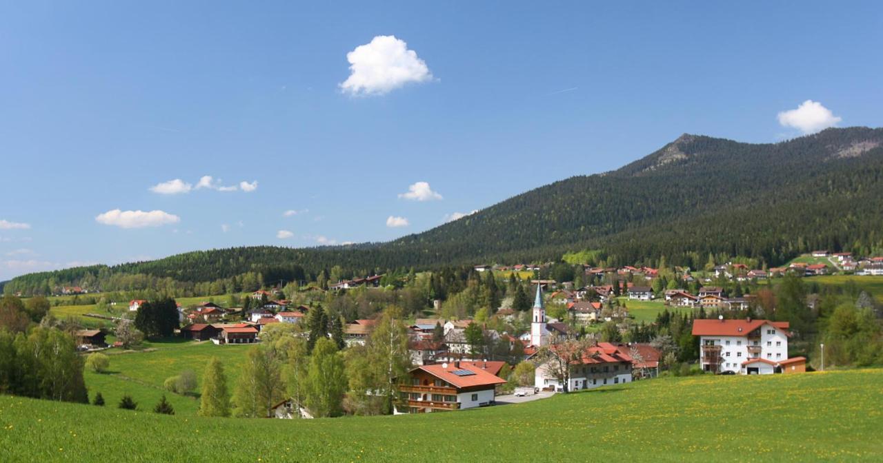 Garnihotel Zur Linde - Bayerischer Wald - Aktivcard Mit 154 Kostenfreien Leistungen - Kostenloser Parkplatz Lohberg Bagian luar foto
