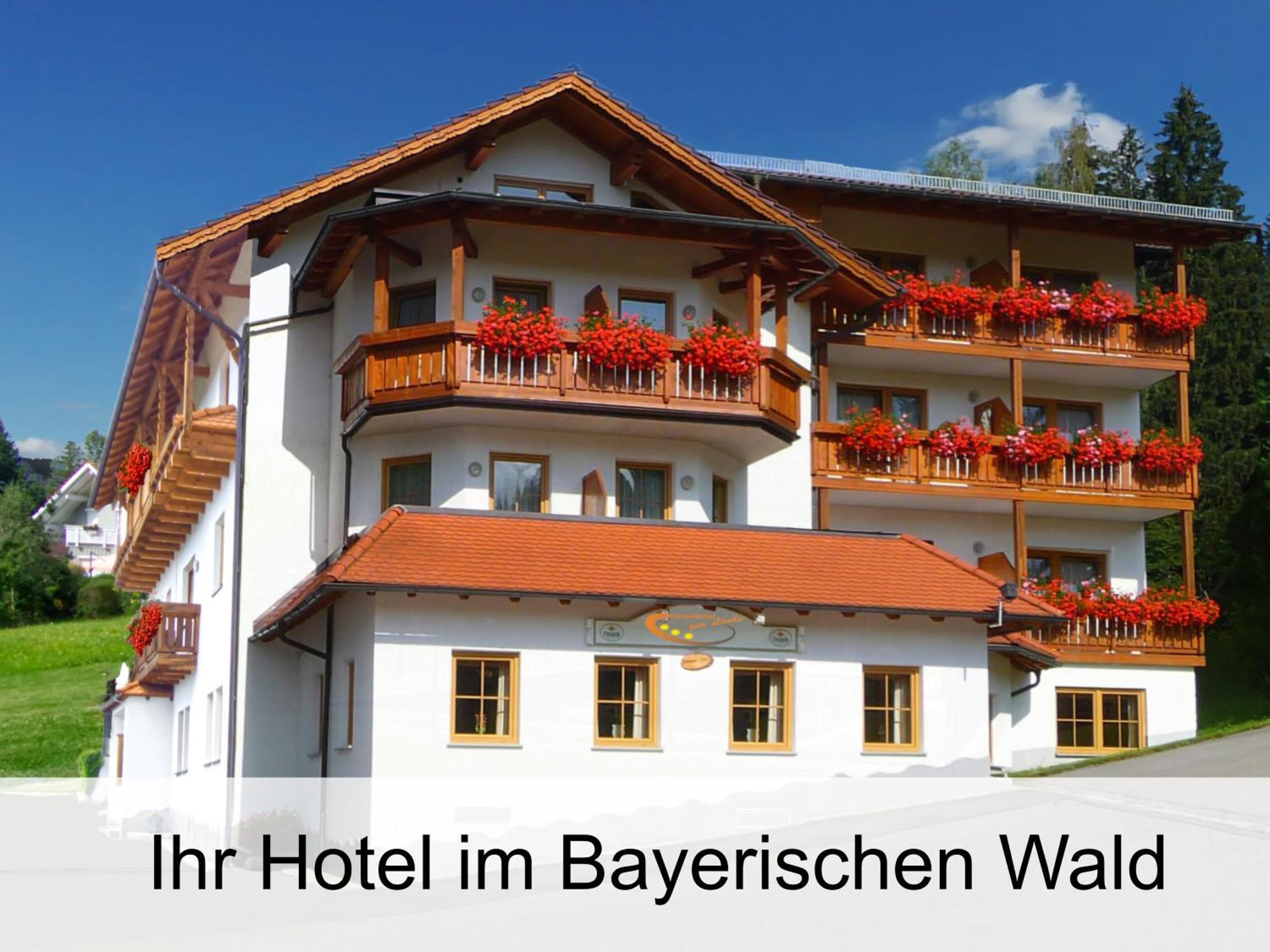 Garnihotel Zur Linde - Bayerischer Wald - Aktivcard Mit 154 Kostenfreien Leistungen - Kostenloser Parkplatz Lohberg Bagian luar foto